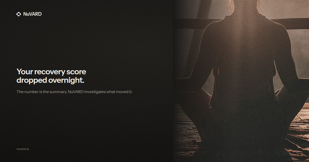 A figure seated at dawn, backlit. Headline: your recovery score dropped overnight.